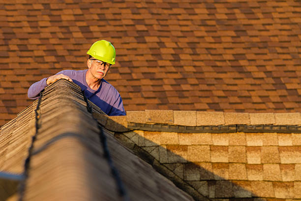 Best Storm Damage Roof Repair  in Ionia, MI