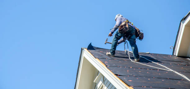 Best Roof Gutter Cleaning  in Ionia, MI