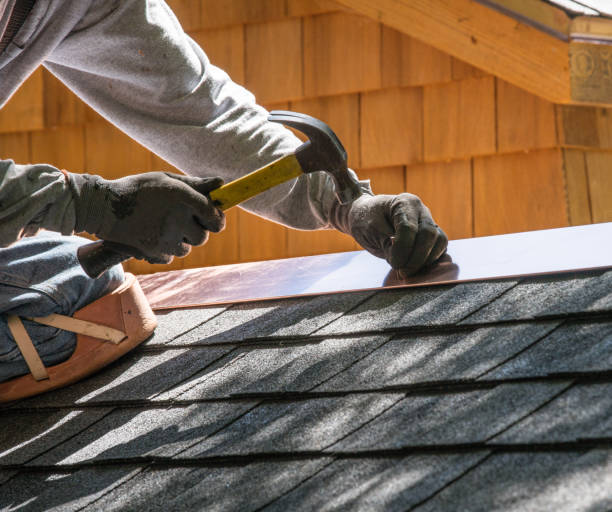Best Roof Repair Services  in Ionia, MI